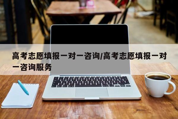 高考志愿填报一对一咨询/高考志愿填报一对一咨询服务