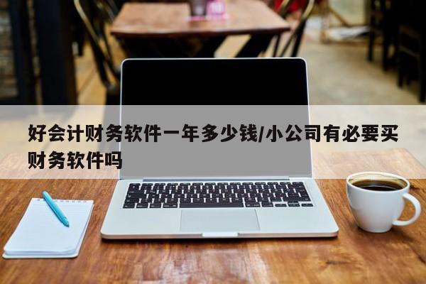 好会计财务软件一年多少钱/小公司有必要买财务软件吗