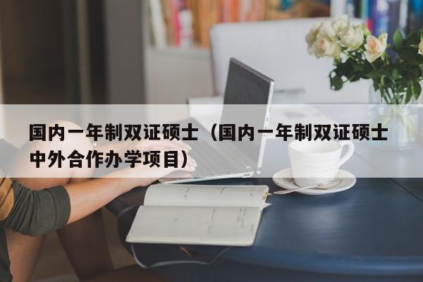 国内一年制双证硕士(国内一年制双证硕士 中外合作办学项目)